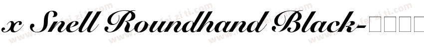 x Snell Roundhand Black字体转换